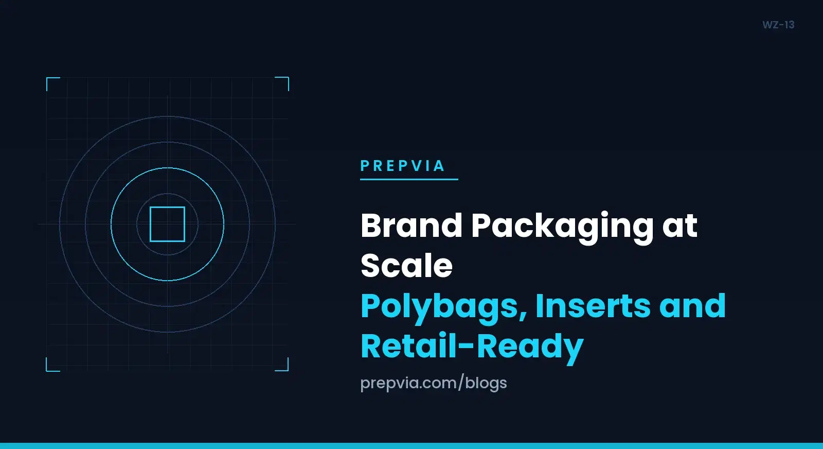 Brand Packaging at Scale: Polybags, Inserts and Retail-Ready
