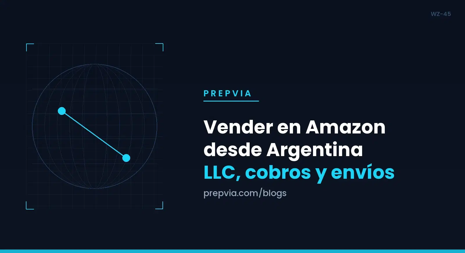 Vender en Amazon desde Argentina: LLC, cobros y envíos