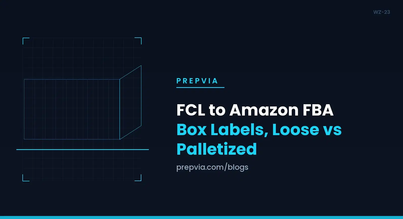 FCL to Amazon FBA: Box Labels, Loose vs Palletized